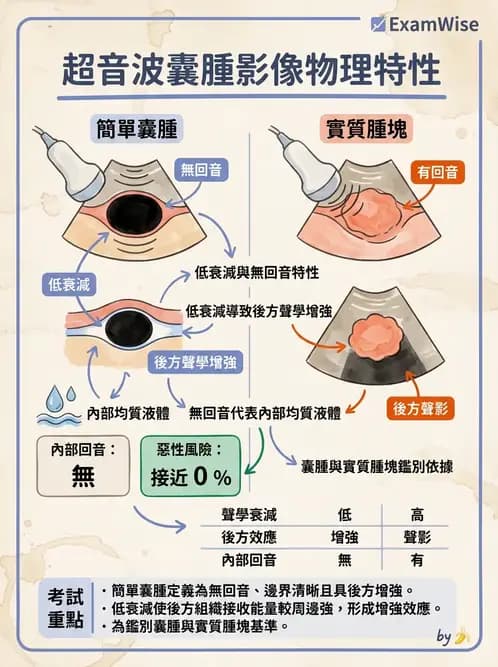 放射 - 超音波物理與技術 - AI 圖文解析預覽