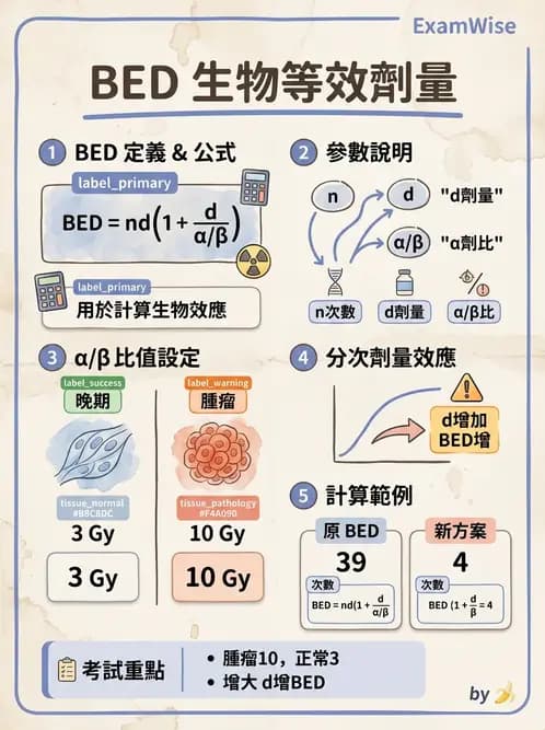 放射 - 時間劑量分次效應 - AI 圖文解析預覽