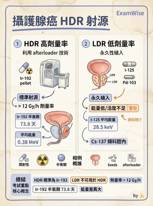 放射 - 插種近接治療 - AI 圖文解析預覽