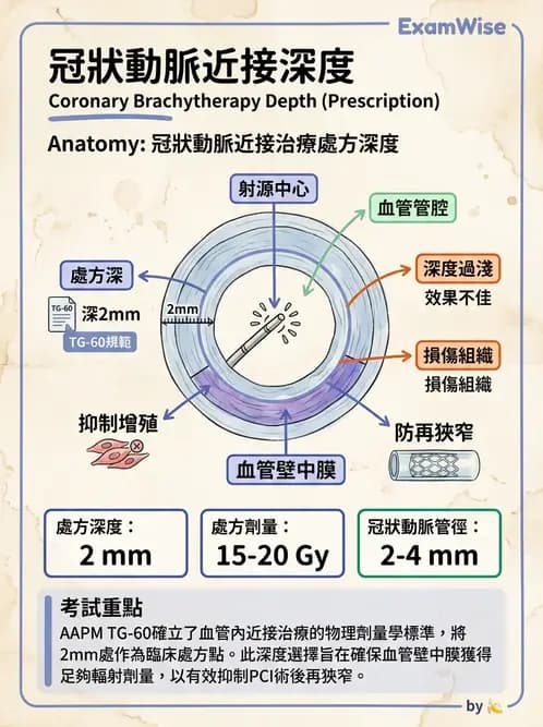 放射 - 血管內近接治療 - AI 圖文解析預覽