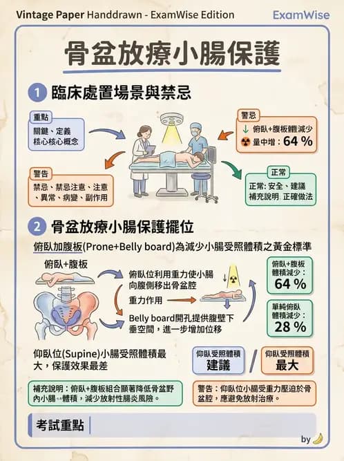 放射 - 疾病部位計畫與危急器官保護 - AI 圖文解析預覽
