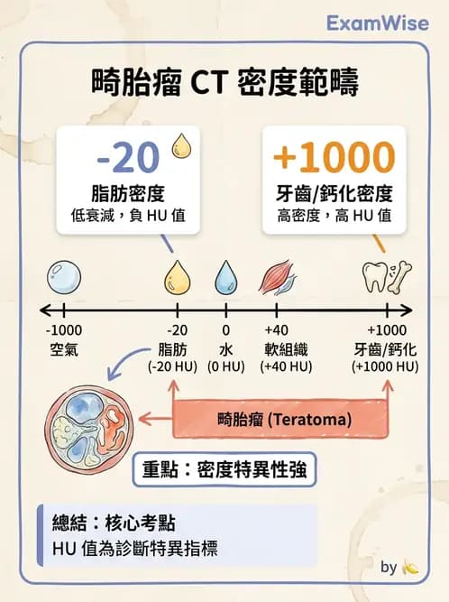 放射 - CT模擬攝影技術、流程與影像特性 - AI 圖文解析預覽
