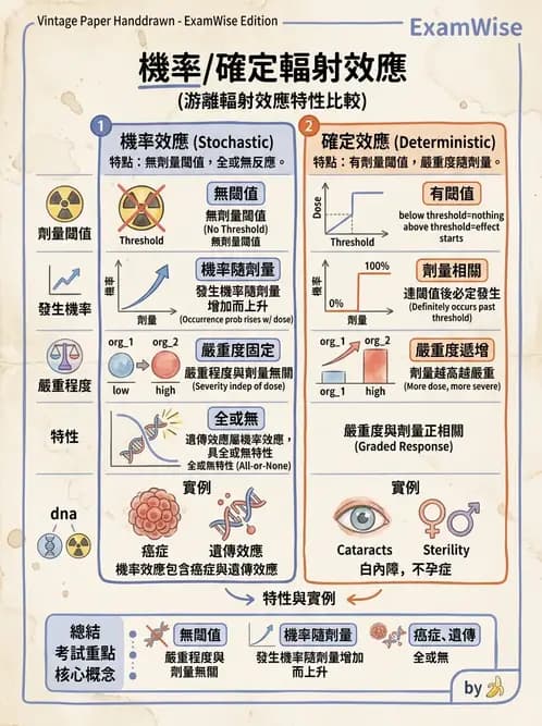 放射 - 輻射致癌與遺傳效應 - AI 圖文解析預覽
