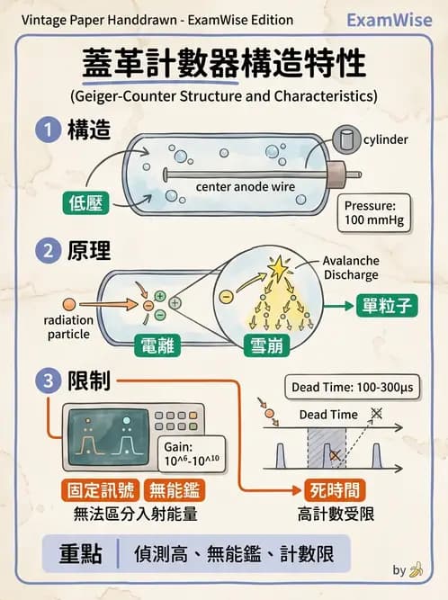 放射 - 放射治療劑量儀器與特殊設備品保 - AI 圖文解析預覽