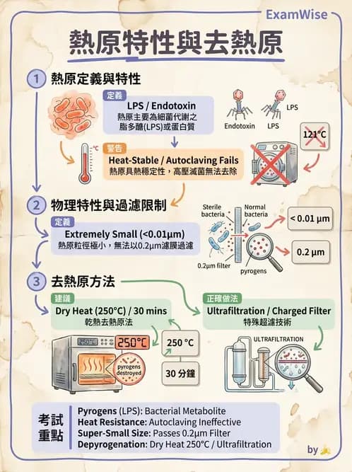 放射 - 肺肝膽與製劑通則 - AI 圖文解析預覽