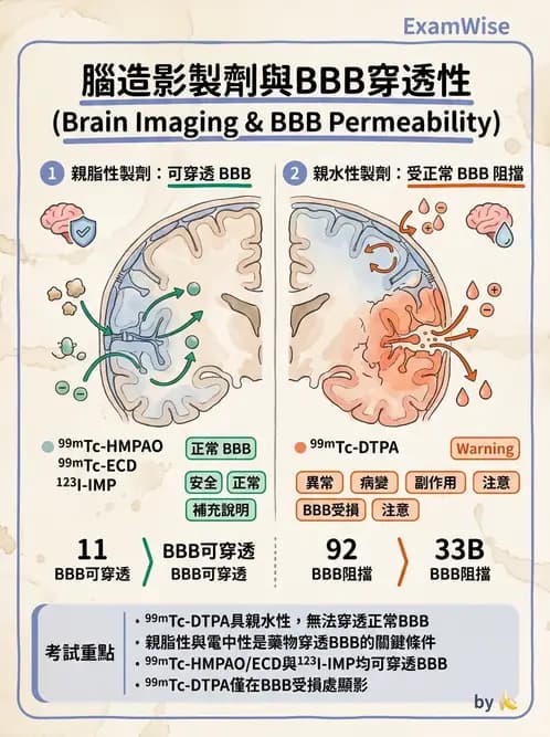 放射 - 腦部造影SPECT藥物 - AI 圖文解析預覽