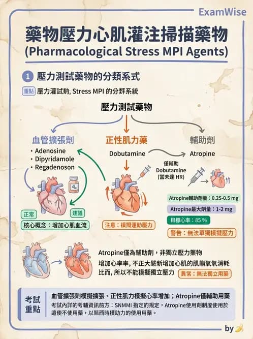 放射 - 心臟灌注造影 - AI 圖文解析預覽