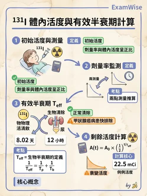放射 - 輻射安全與保健物理 - AI 圖文解析預覽
