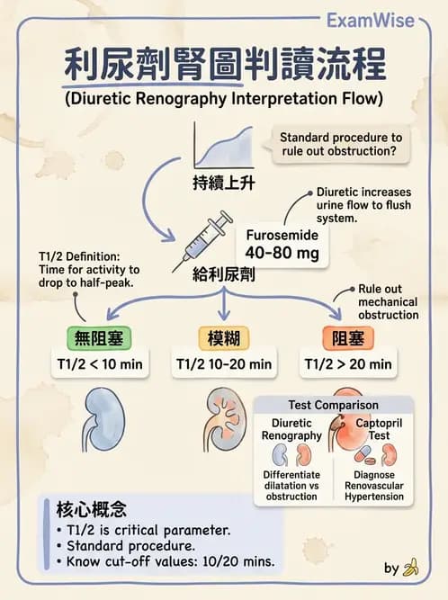 放射 - 腎臟造影 - AI 圖文解析預覽