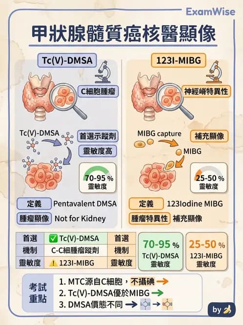 放射 - 腫瘤與內分泌造影SPECT藥物 - AI 圖文解析預覽