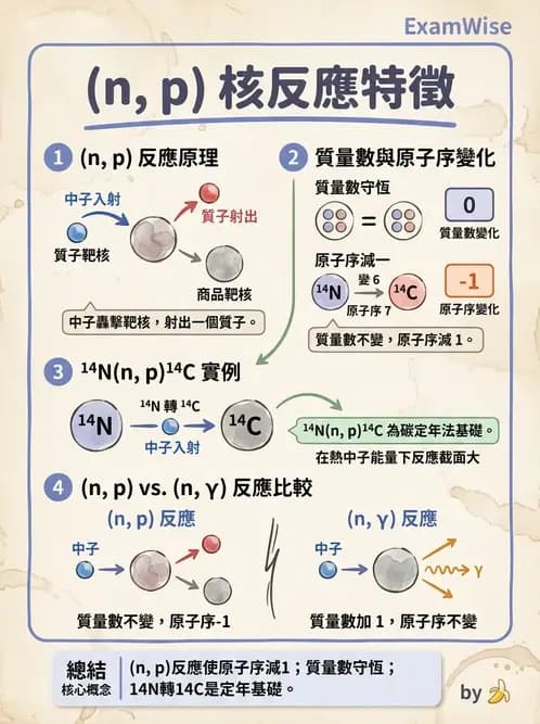 放射 - 核種生產與孳生器 - AI 圖文解析預覽
