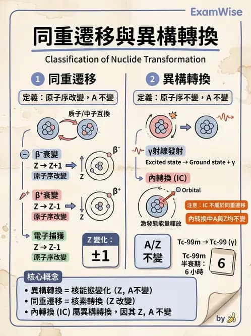 放射 - 蛻變類型與計算 - AI 圖文解析預覽