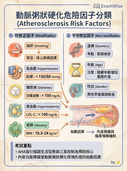 護理師 - 呼吸、循環系統 - AI 圖文解析預覽