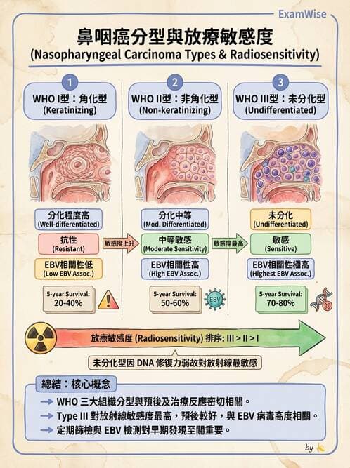 護理師 - 腫瘤及遺傳疾病 - AI 圖文解析預覽