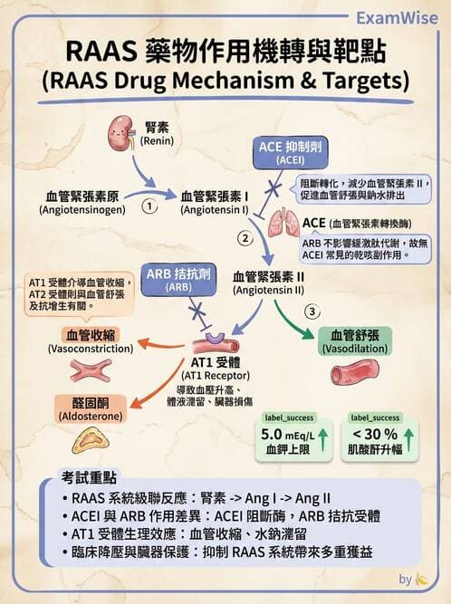 護理師 - 抗高血壓與血管藥物 - AI 圖文解析預覽