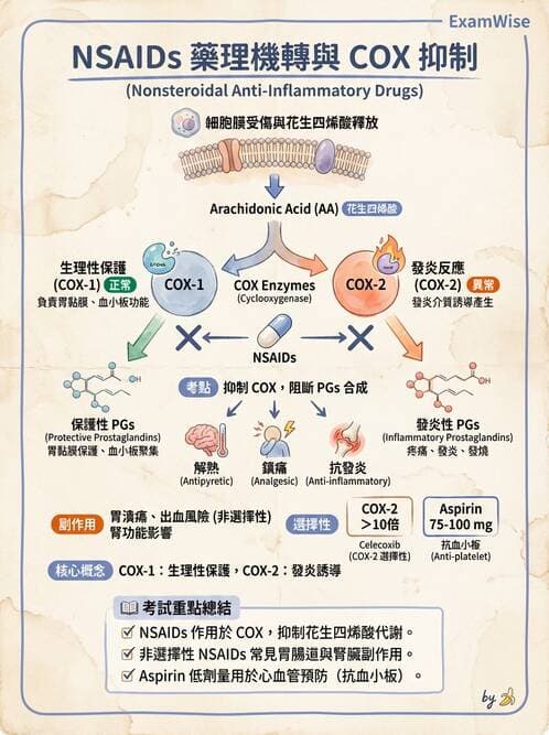 護理師 - 藥理學的一般概念 - AI 圖文解析預覽
