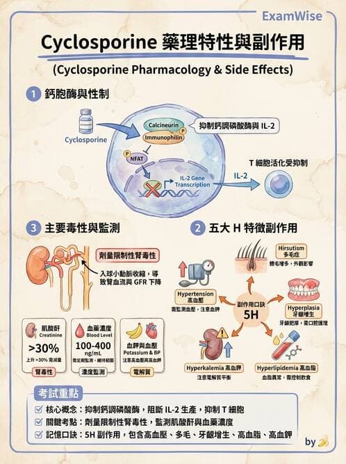護理師 - 化學治療與免疫調節藥物 - AI 圖文解析預覽