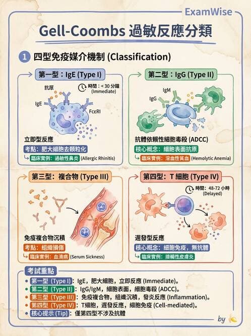 護理師 - 免疫系統組成、抗原-抗體、補體、先天性免疫 - AI 圖文解析預覽