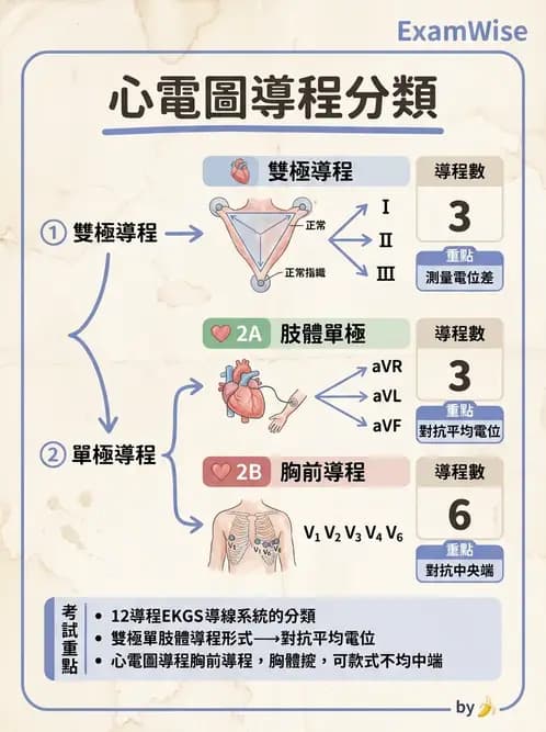 醫檢師 - 心電圖基礎與判讀 - AI 圖文解析預覽