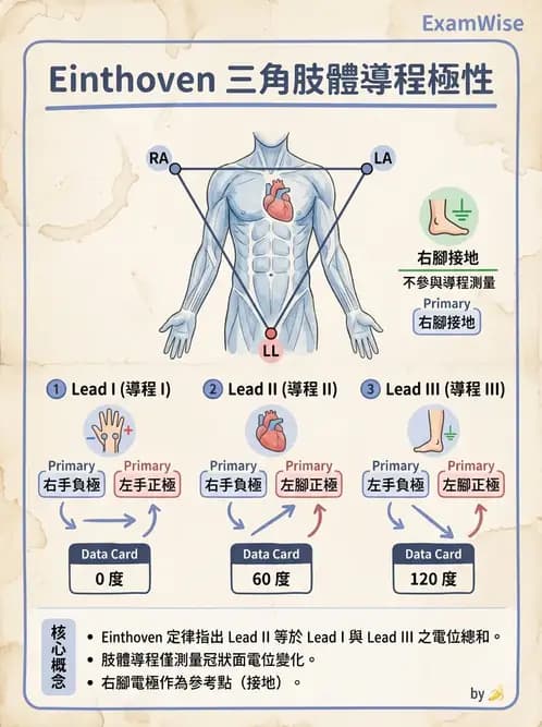 醫檢師 - 心電圖基礎與判讀 - AI 圖文解析預覽