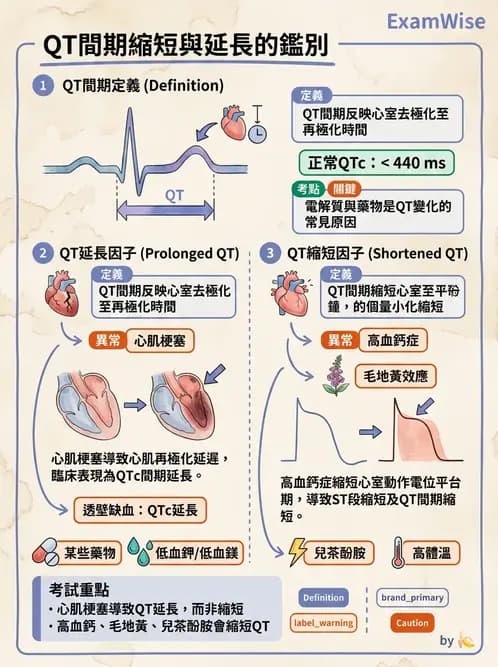 醫檢師 - 心電圖基礎與判讀 - AI 圖文解析預覽
