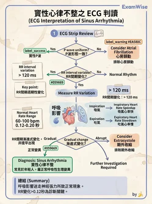 醫檢師 - 心律不整判讀 - AI 圖文解析預覽