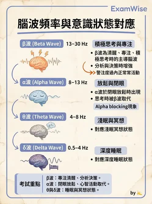 醫檢師 - 腦電圖檢查 - AI 圖文解析預覽