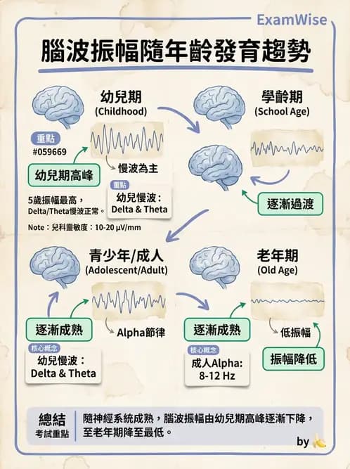醫檢師 - 腦電圖檢查 - AI 圖文解析預覽