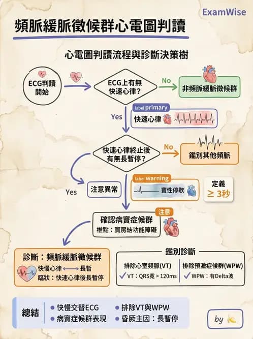 醫檢師 - 心律不整判讀 - AI 圖文解析預覽