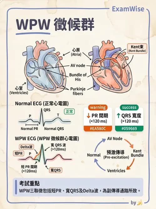 醫檢師 - 心肌病變與特殊心電圖 - AI 圖文解析預覽