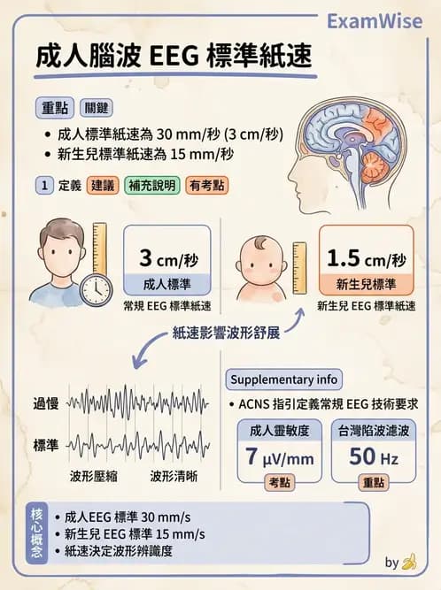 醫檢師 - 腦電圖檢查 - AI 圖文解析預覽