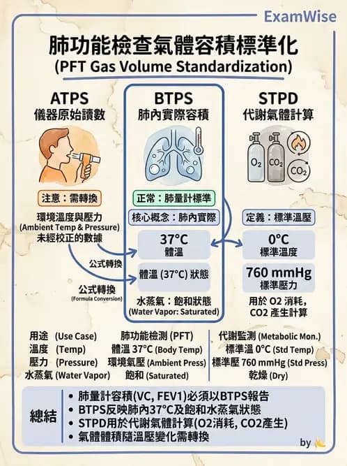 醫檢師 - 肺功能基礎與指標 - AI 圖文解析預覽