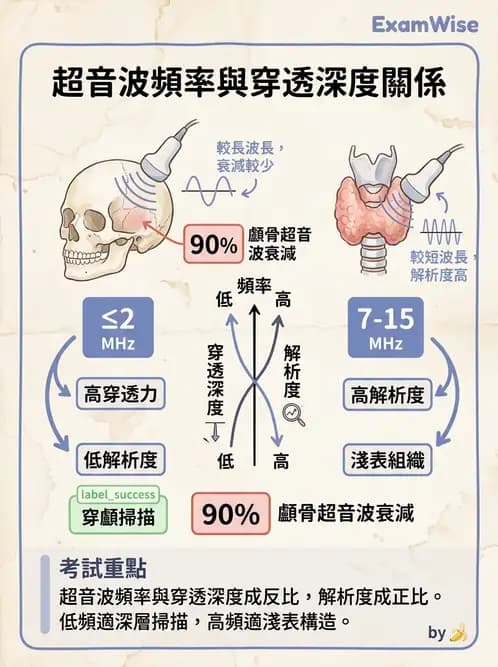 醫檢師 - 超音波檢查 - AI 圖文解析預覽
