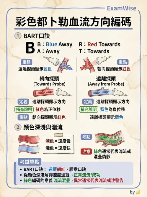 醫檢師 - 超音波檢查 - AI 圖文解析預覽