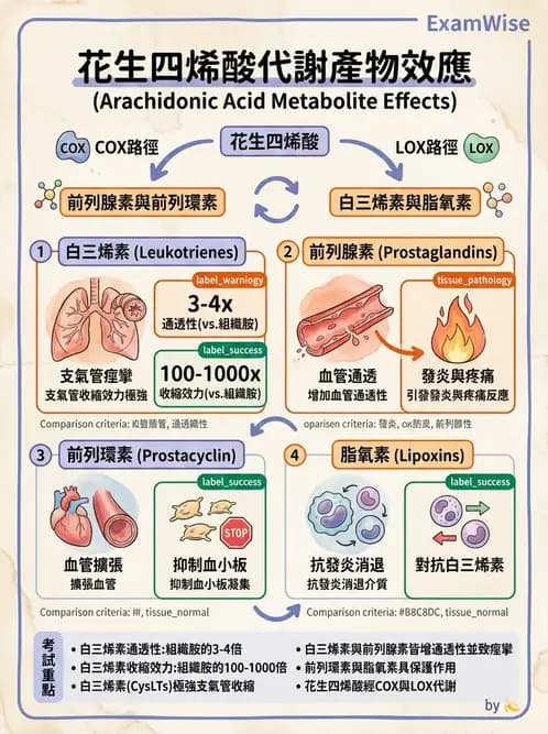 醫檢師 - 細胞傷害、發炎與修復 - AI 圖文解析預覽