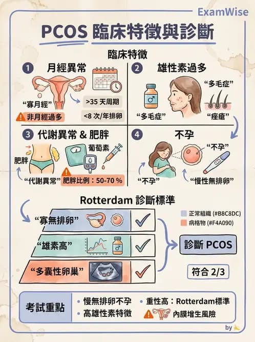 醫檢師 - 乳房及女性生殖疾病 - AI 圖文解析預覽