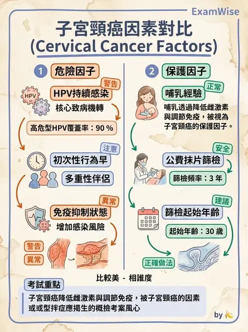 醫檢師 - 乳房及女性生殖疾病 - AI 圖文解析預覽
