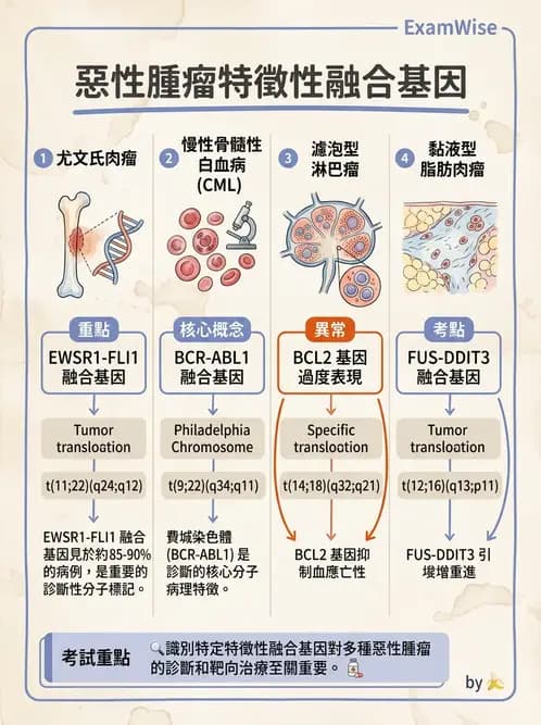 醫檢師 - 骨骼及軟組織疾病 - AI 圖文解析預覽