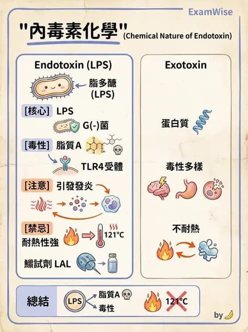 醫檢師 - 感染 - AI 圖文解析預覽