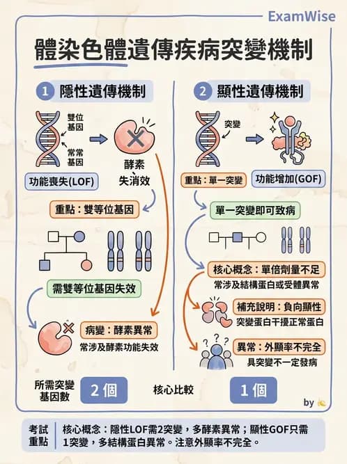 醫檢師 - 遺傳和發育疾病 - AI 圖文解析預覽