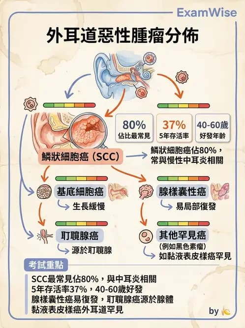 醫檢師 - 呼吸系統疾病 - AI 圖文解析預覽