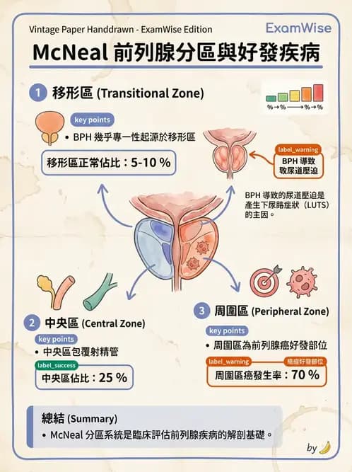 醫檢師 - 腎臟泌尿及男性生殖疾病 - AI 圖文解析預覽