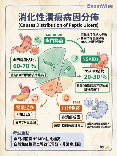 醫檢師 - 消化肝膽疾病 - AI 圖文解析預覽