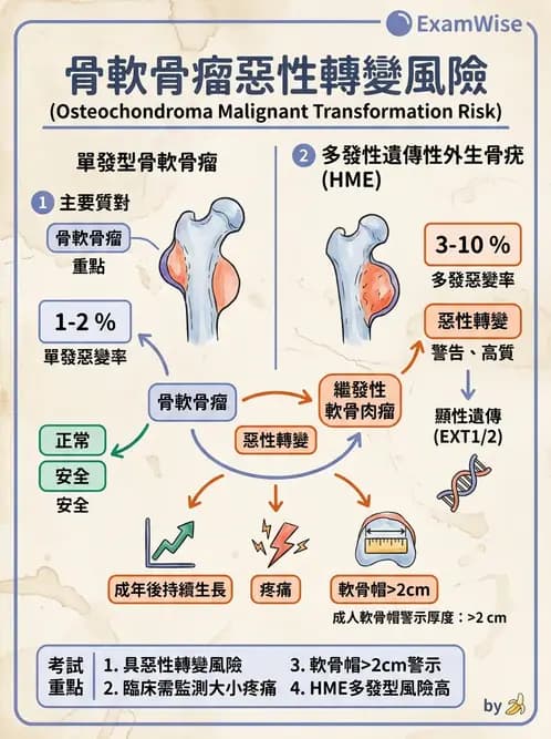 醫檢師 - 骨骼及軟組織疾病 - AI 圖文解析預覽