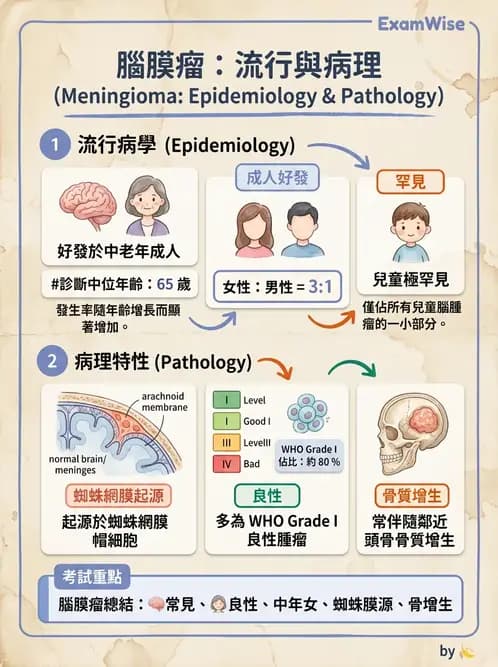 醫檢師 - 神經系統疾病 - AI 圖文解析預覽