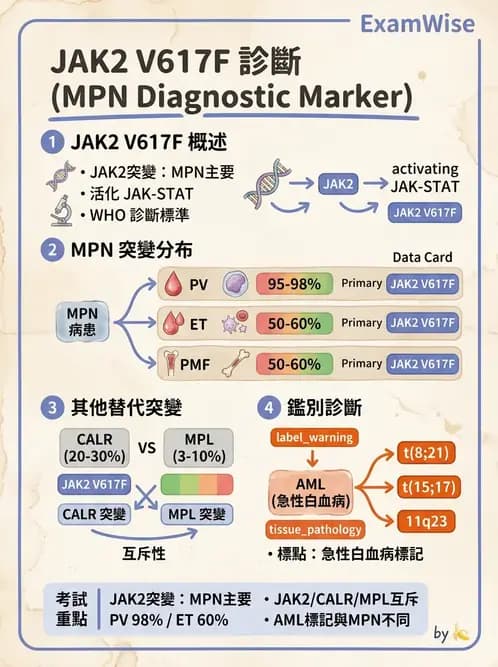 醫檢師 - 慢性血液腫瘤與骨髓增生疾患 - AI 圖文解析預覽