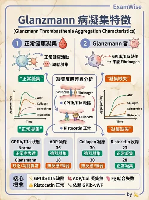 醫檢師 - 出血性疾病與檢驗 - AI 圖文解析預覽