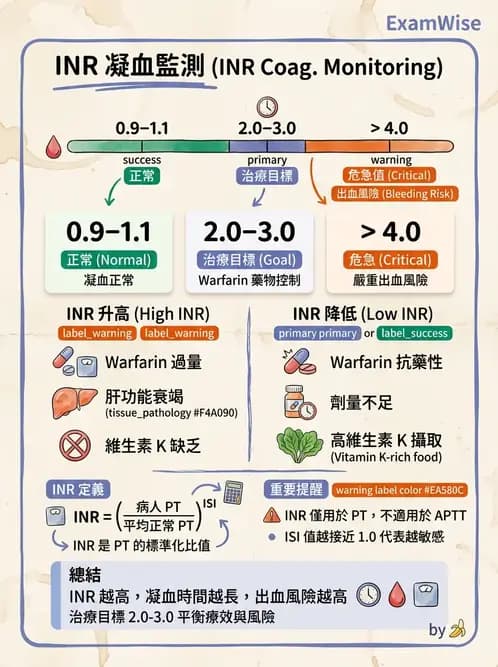 醫檢師 - 凝血因子與凝血檢驗 - AI 圖文解析預覽