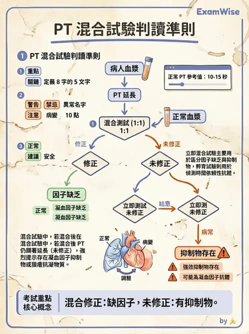 醫檢師 - 凝血因子與凝血檢驗 - AI 圖文解析預覽