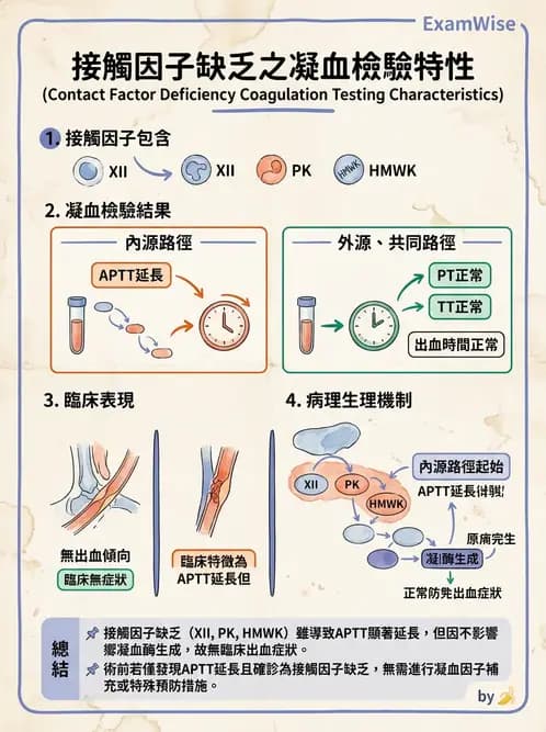 醫檢師 - 凝血因子與凝血檢驗 - AI 圖文解析預覽